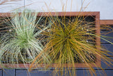Plantekasse cortenstål CUBY 230 x 40 x 40 cm