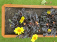 Cortenstål plantekasse EDGY 80 x 40 x 80 cm