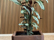 Cortenstål plantekasse EDGY 40 x 40 x 40 cm